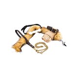 Pet Play Kit