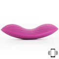 Svakom Edeny App Controlled Rechargeable Panty Vibrator