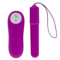 Pocket Pleasure Multi Speed Remote Control Bullet Vibrator