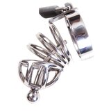 Asylum 3 Ring Locking Chastity Cage