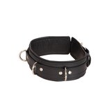 Triple D-Ring Lockable Collar