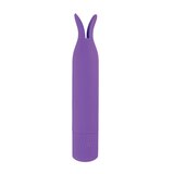 Mini's Tickler Bullet