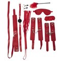 The Ninth Enigma - Full 9 Piece Bondage Set