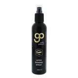 GP Latex Shining Spray 200 ml