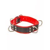 Black And Red Leather Four D Ring Collar