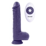 Pleasure Rider