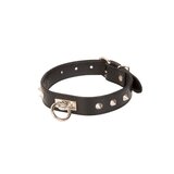 O-Ring Studded Collar Black