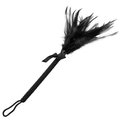 Shake Your Tail Feather Tickler - 9.8 Inch