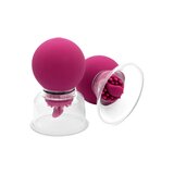 Vibrating & Rotating Nipple & Clitoral Pump