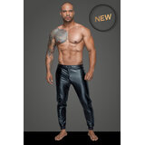 Powerwetlook Treggings