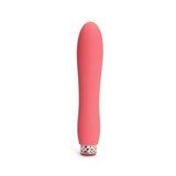 Ann Summers 5 Inch Silicone Beginners Vibrator with Removable Bullet