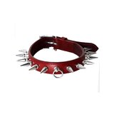 Deluxe Burgundy Leather Spiked Collar