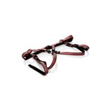 Her Royal Harness The Regal Duchess - Red