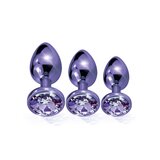 Nixie Metal Butt Plug Trainer Set - Purple