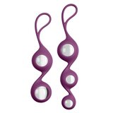 Health and Wellness Borosilicate Kegel Training Set - Plum
