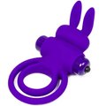 Dualistic Mega-Erect Vibrating Rabbit Cock Ring