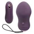 Pretty Pulse Amethyst Rechargeable Remote Love Egg