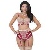 iCollection Raspberry Satin and Lace Bra Set