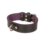 Purple Trim Black Leather Collar With D Ring