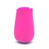 Tulip Pro - Pink