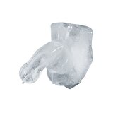 Huge Penis Freeze-at-Home Ice Luge Kit