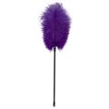 Velvet Reign Purple Ostrich Feather Tickler - 17 Inch
