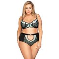 Luscious Love Plus Size Bra & High-Waisted Knicker - 2XL