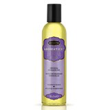 Kama Sutra Aromatics Sensual Massage Oil - Harmony Blend - 8 oz.
