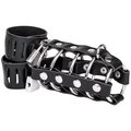 Gates of Hell Chastity Cage - Padlocked With Cock & Ball Strap
