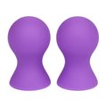 Plump Up The Volume Purple Nipple Suckers