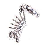 Asylum 6 Ring Locking Chastity Cage