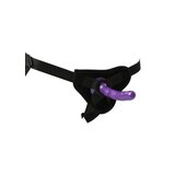 Strap On and Silicone Dildo Set