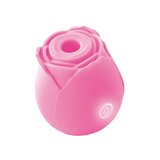 The One Rose - Pink