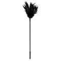 Raven Black Feather Tickler & Teaser - 17 Inch